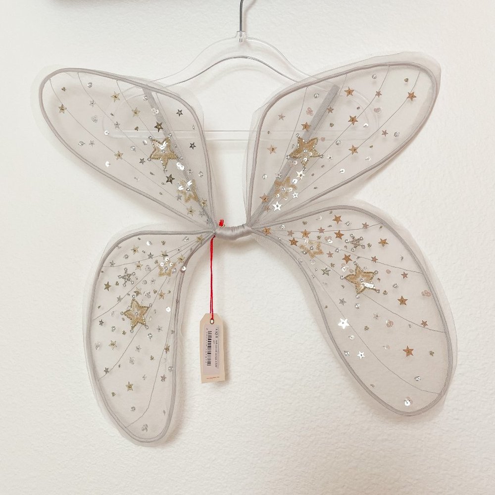 Tutu Du Monde Designer Fairy Wings Accessory - Comet - Silver